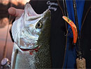 Originator Fishing Charter :: Photo Gallery