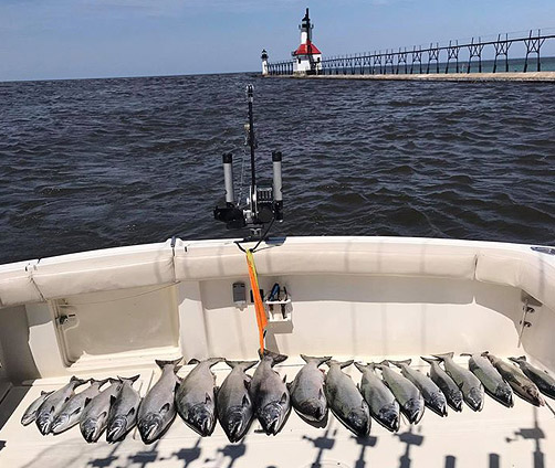 Originator Fishing Charter :: From New Buffalo, MI on Lake Michigan